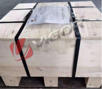 China Vigor Float Valve- Package