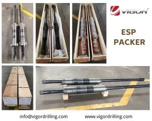 esp packer esp packer